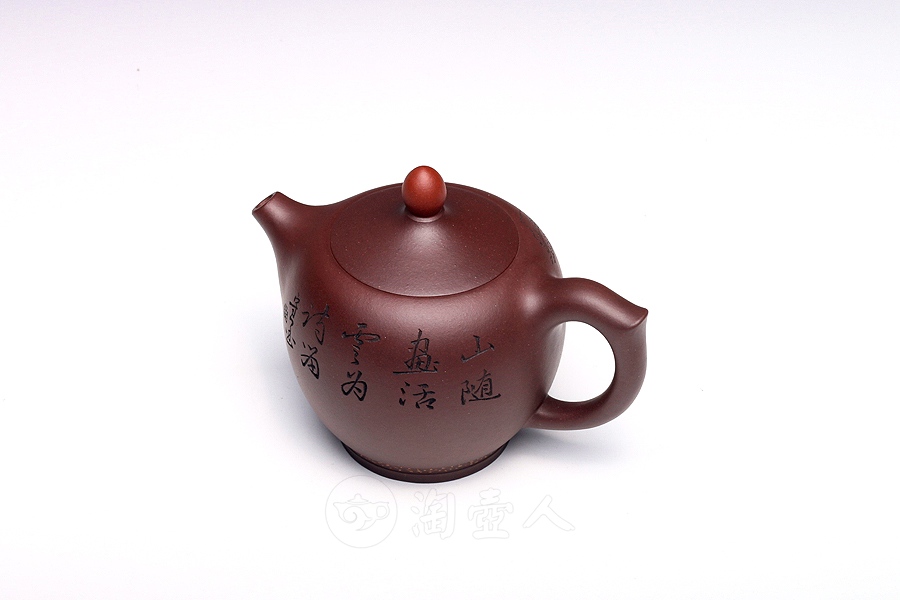 顶红翎(小)