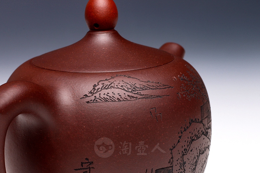 顶红翎(小)