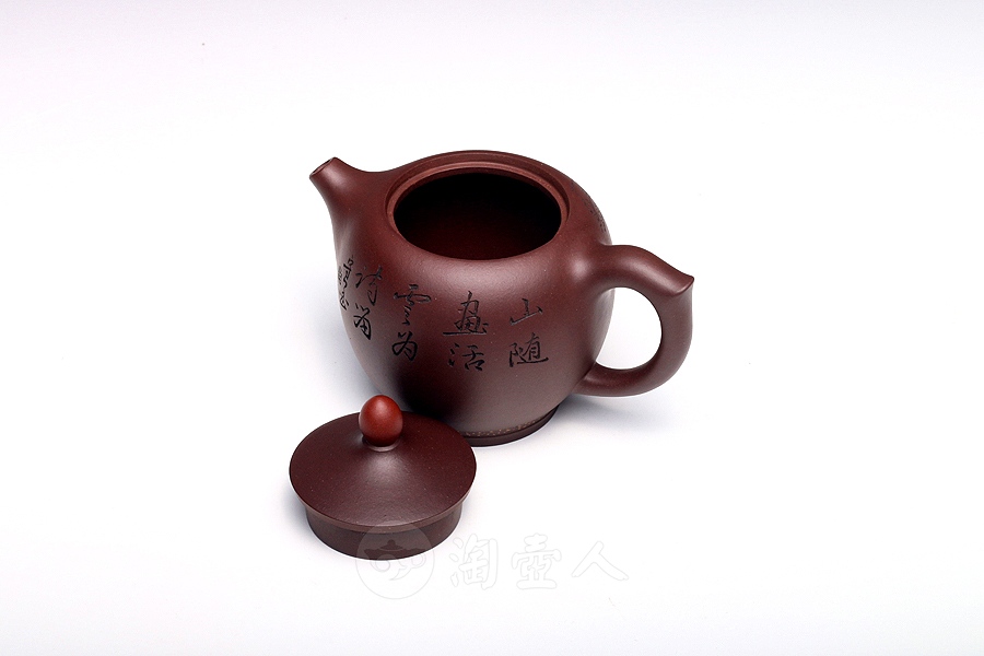 顶红翎(小)