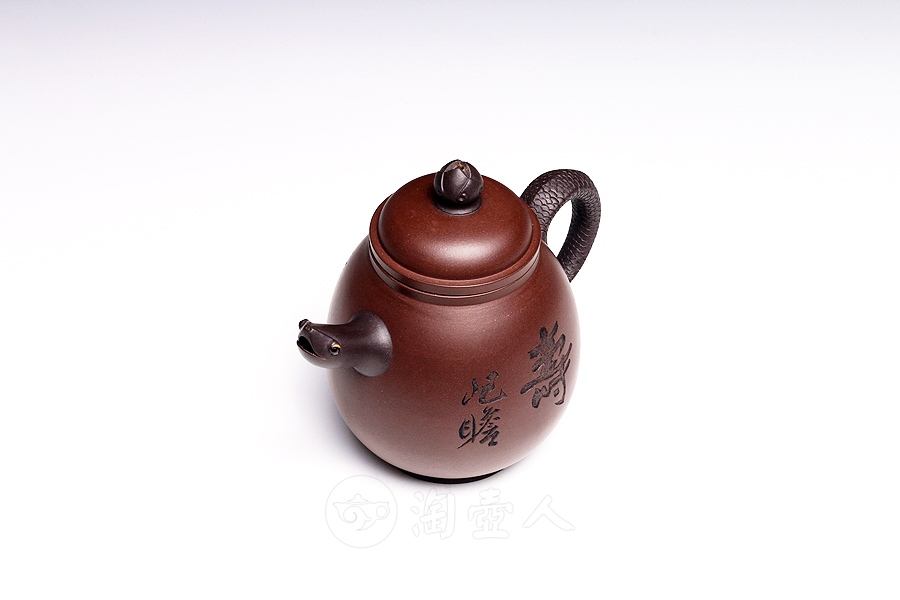 龟寿(朱屺瞻题徐勇良刻)