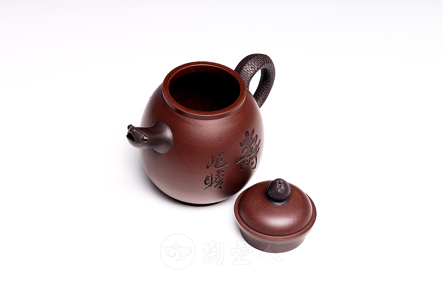 龟寿(朱屺瞻题徐勇良刻)