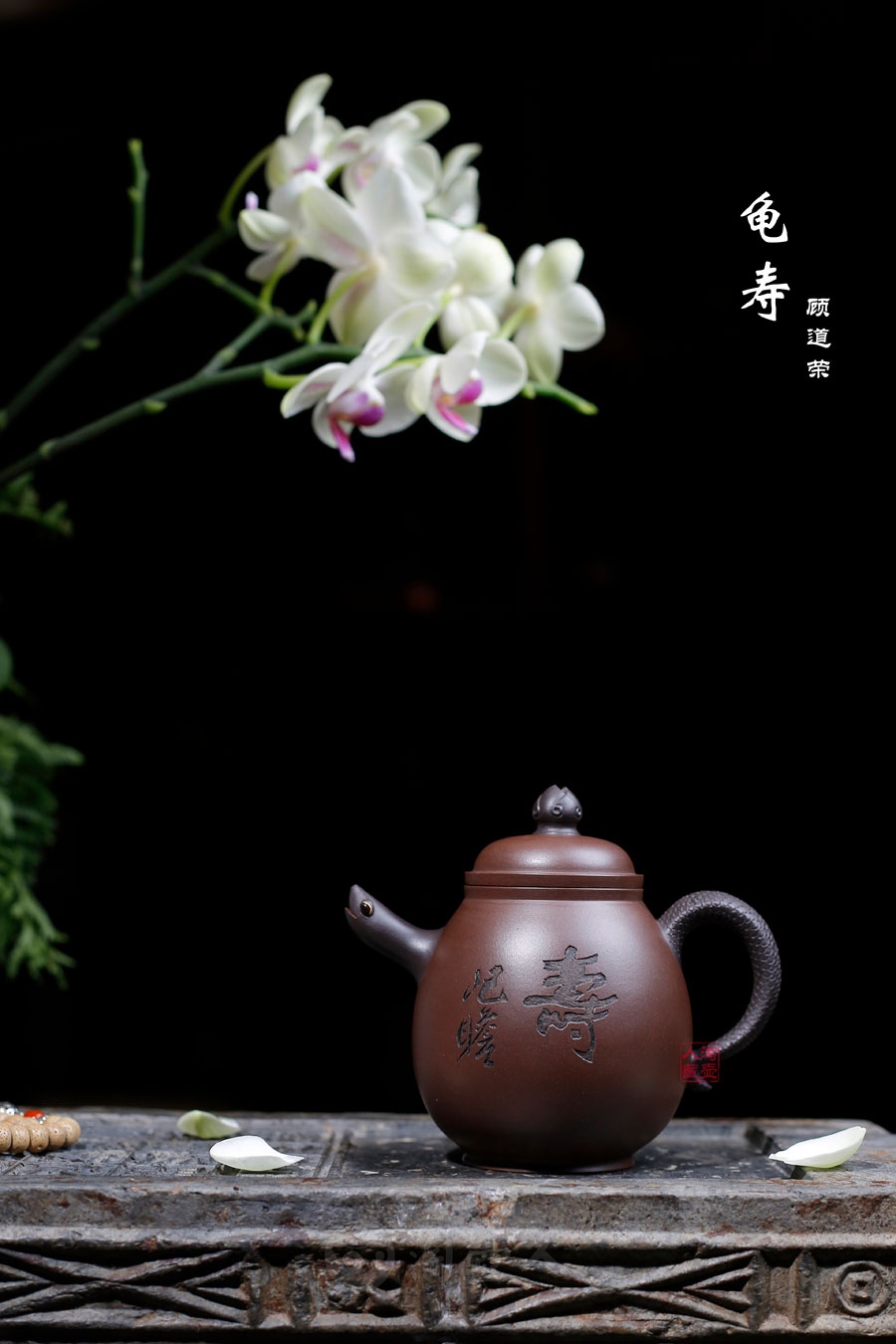 龟寿(朱屺瞻题徐勇良刻)