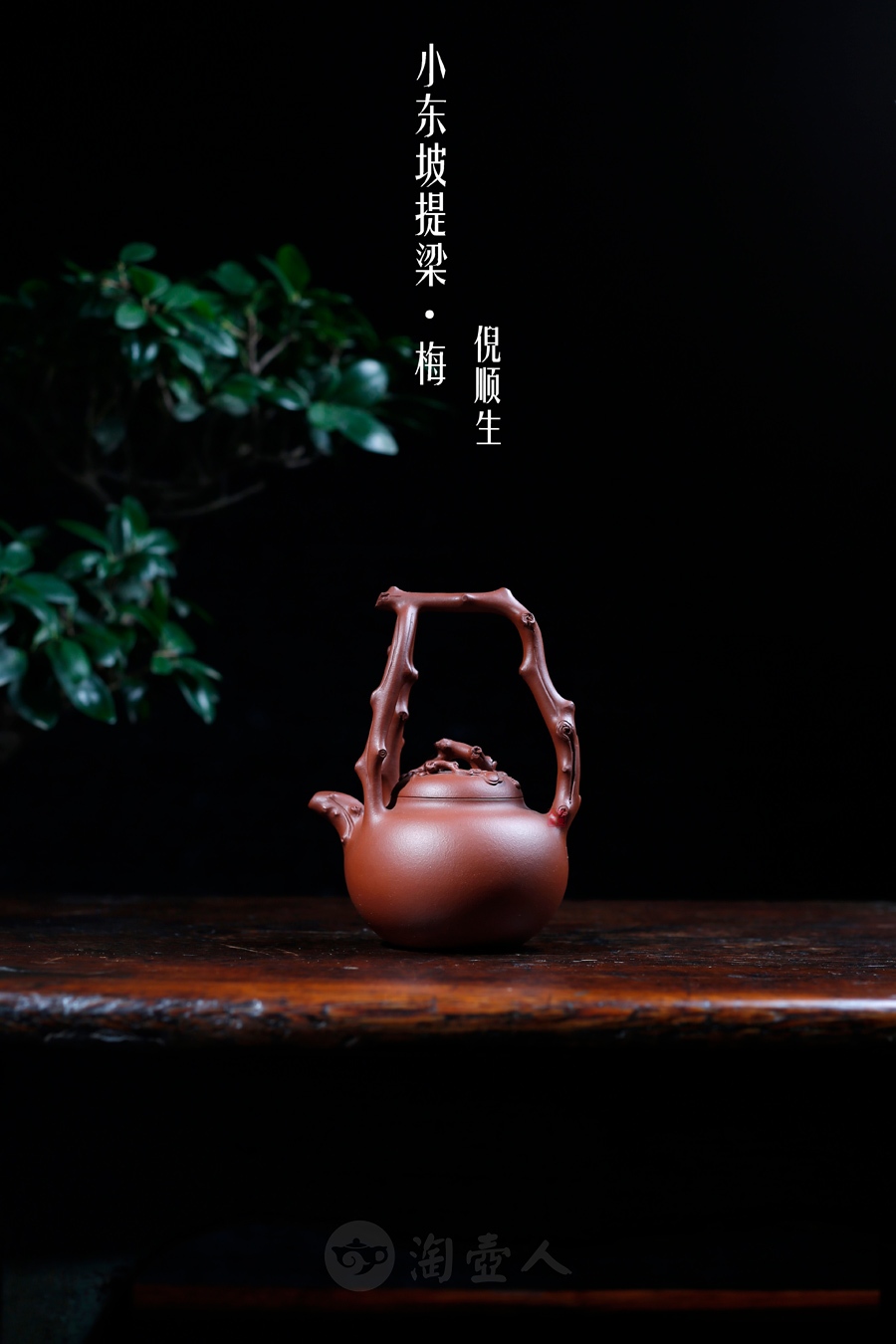 小东坡提梁(梅)