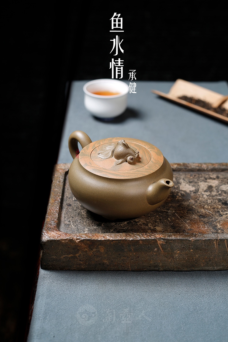 鱼水情