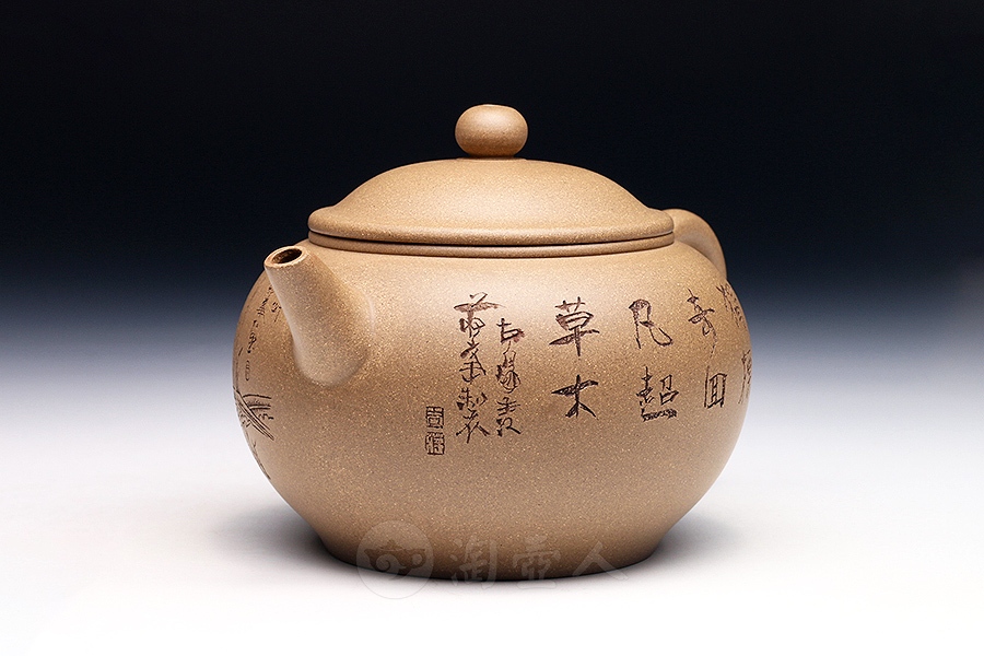 宜兴名家蒋峰紫砂壶作品《野趣壶》原矿全手工优惠全场包邮真品保证