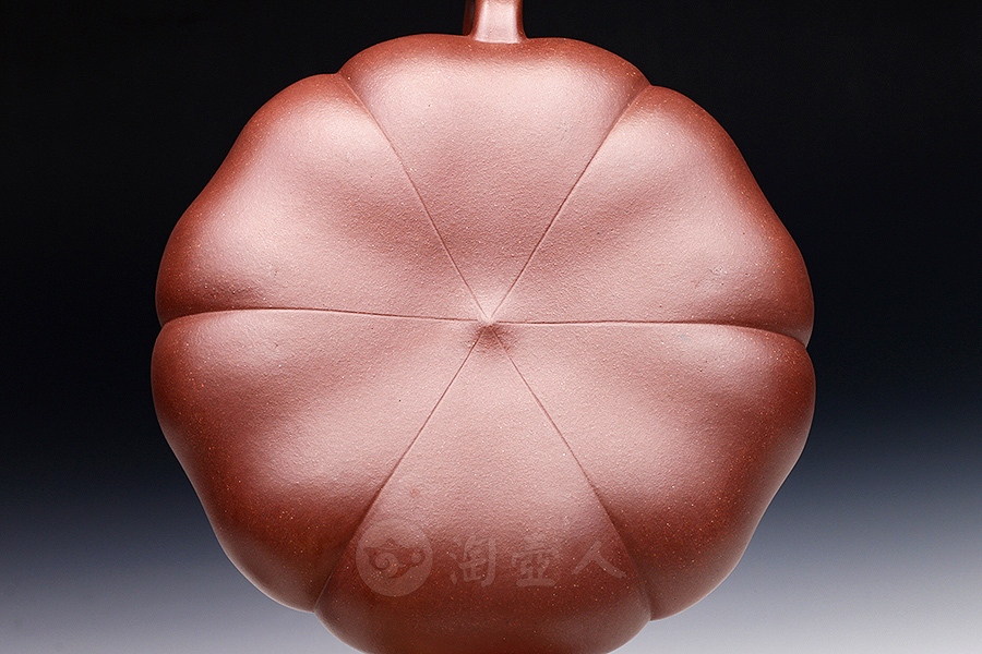 全手葵玉