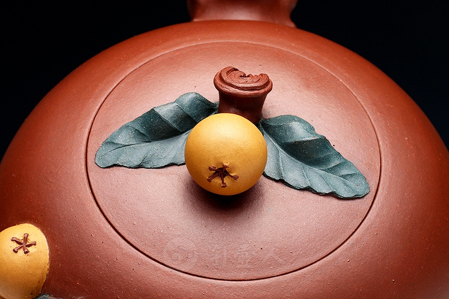 枇杷(五头套组)