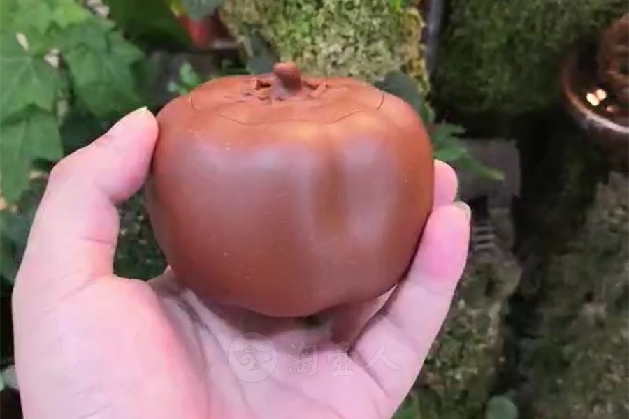 柿子醒茶器