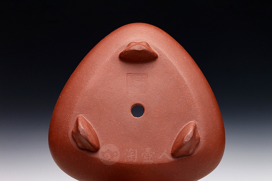 三角蒲包口花盆