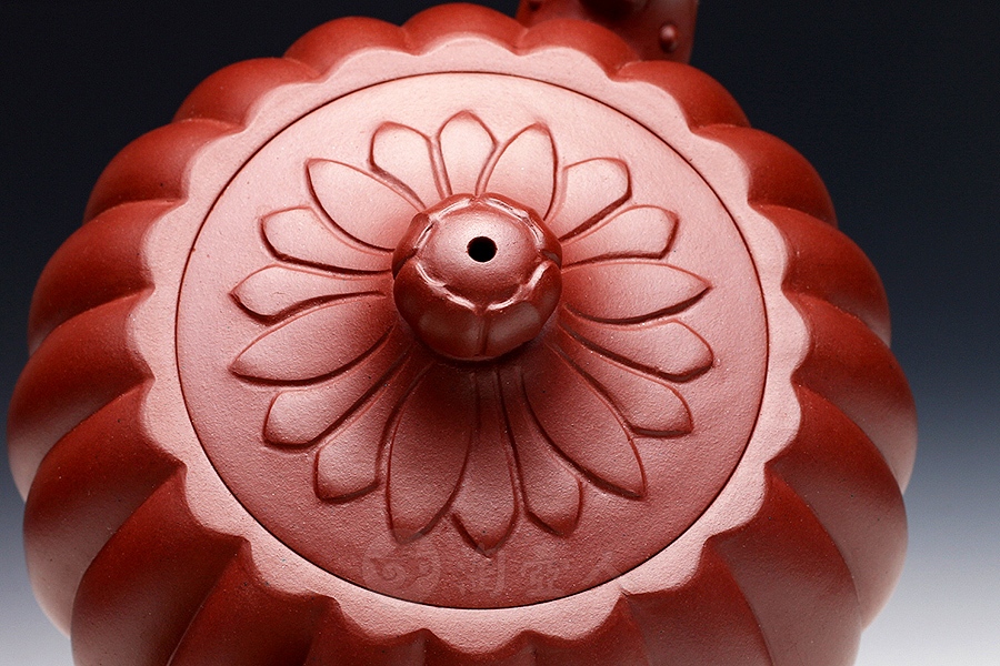 出水芙蓉