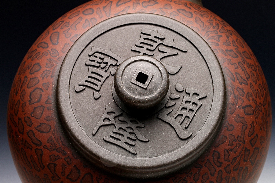 金钱豹韵