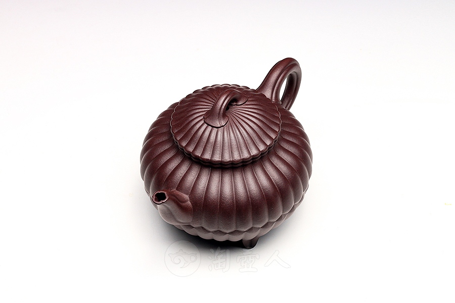 小三丁合菊