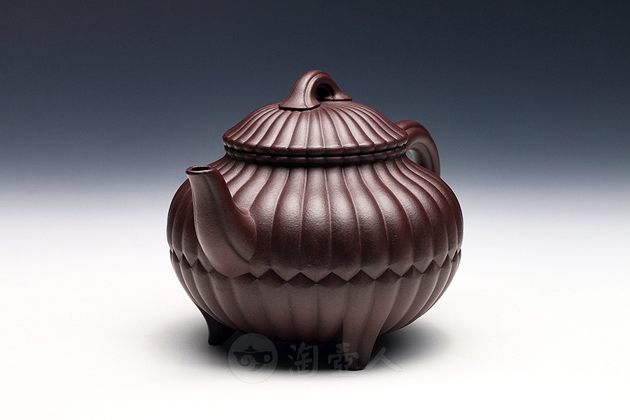 小三丁合菊