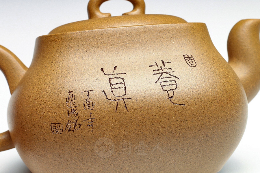 养真