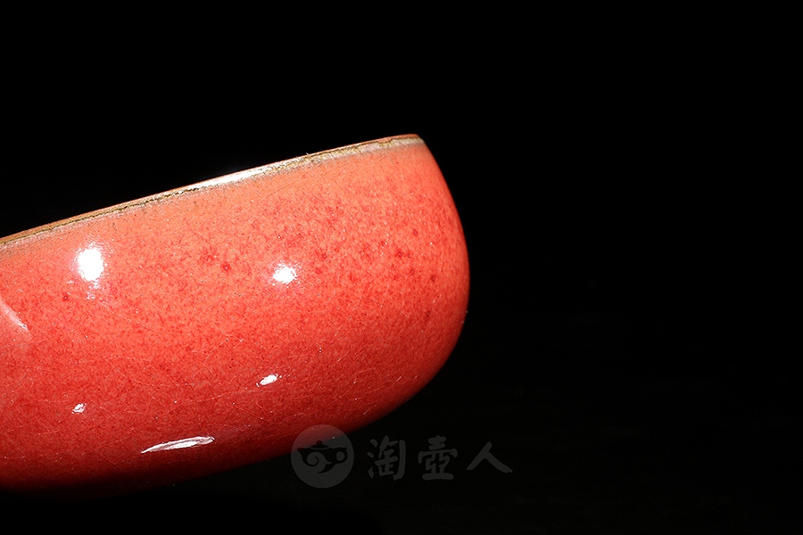 主人杯