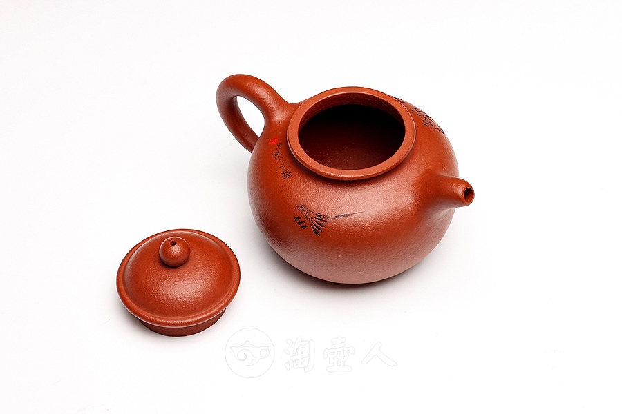小掇只