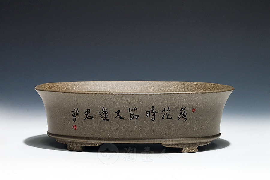 水仙盆