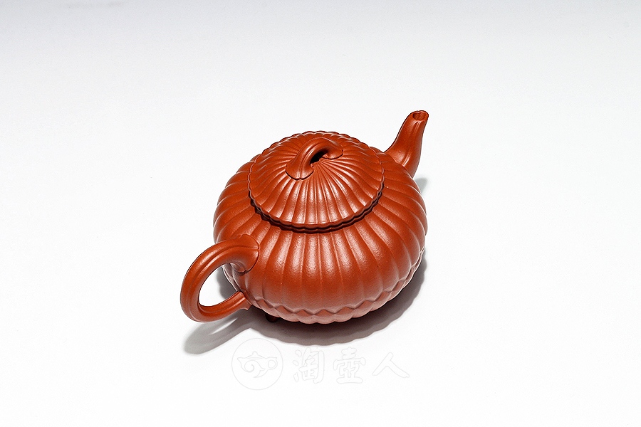 三丁合菊