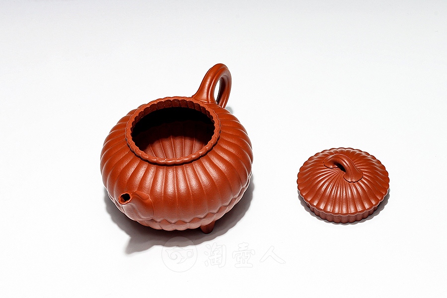 三丁合菊