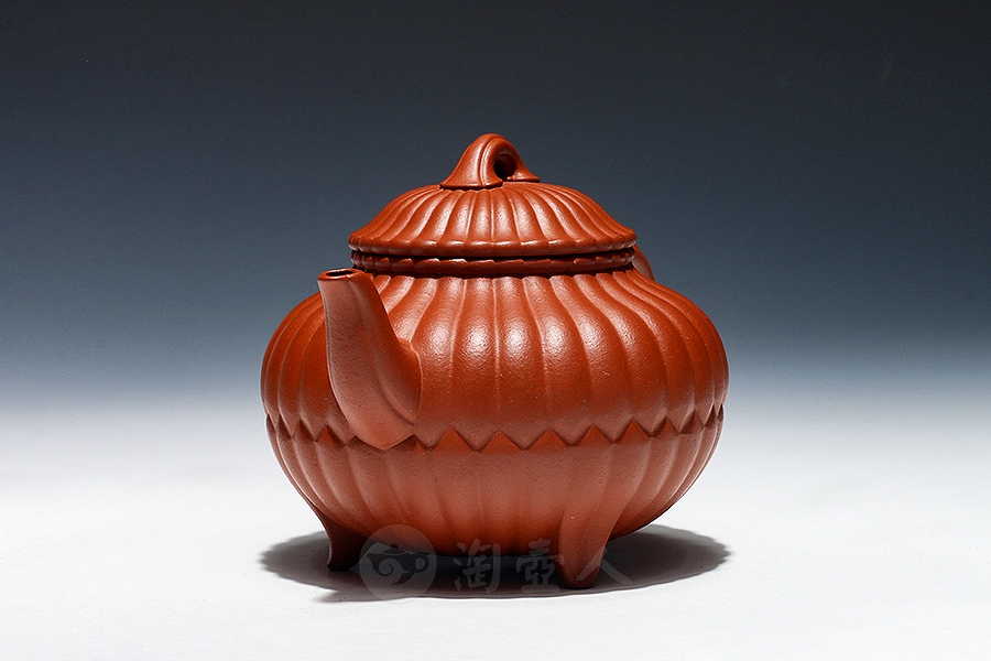 三丁合菊