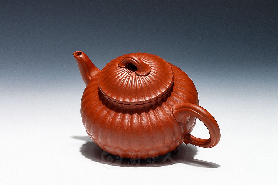 三丁合菊