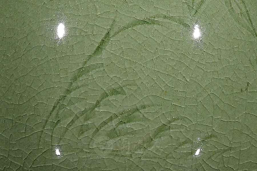 长须玉壶春