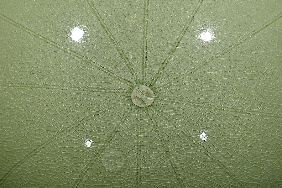 出水芙蓉