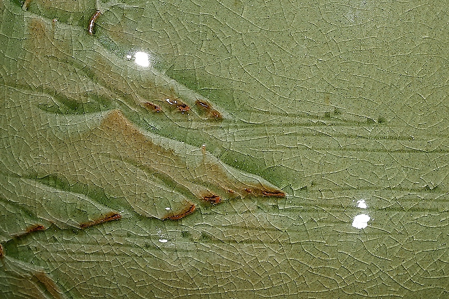 诗画江南