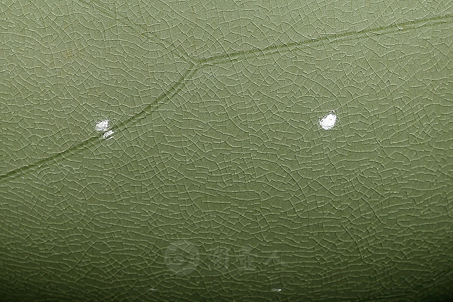 出水芙蓉