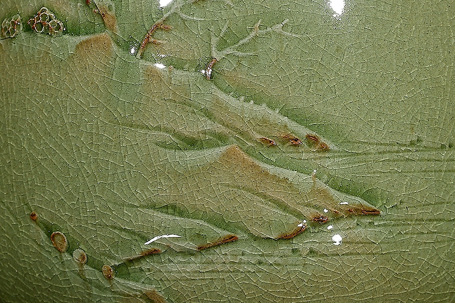 诗画江南