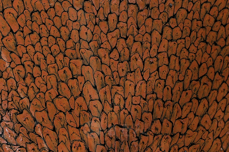 黄鹧鸪大斗笠盏(精品)