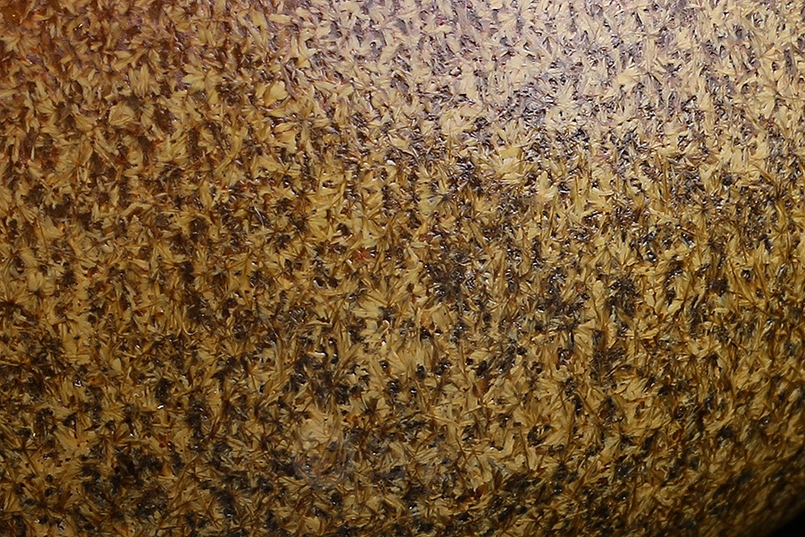 茶末留香主人杯·敛口碗