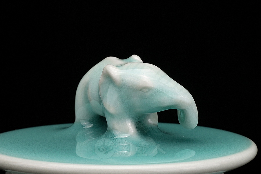 高象罐中号卷鼻