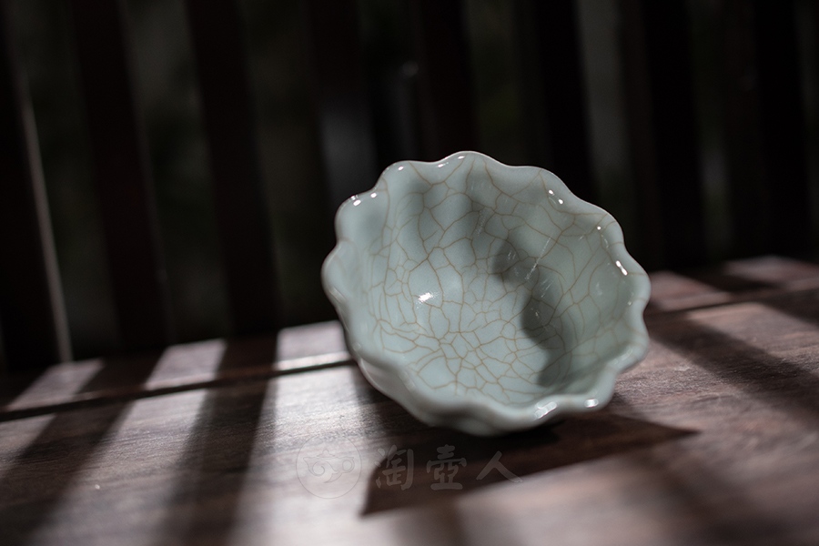 菊花杯