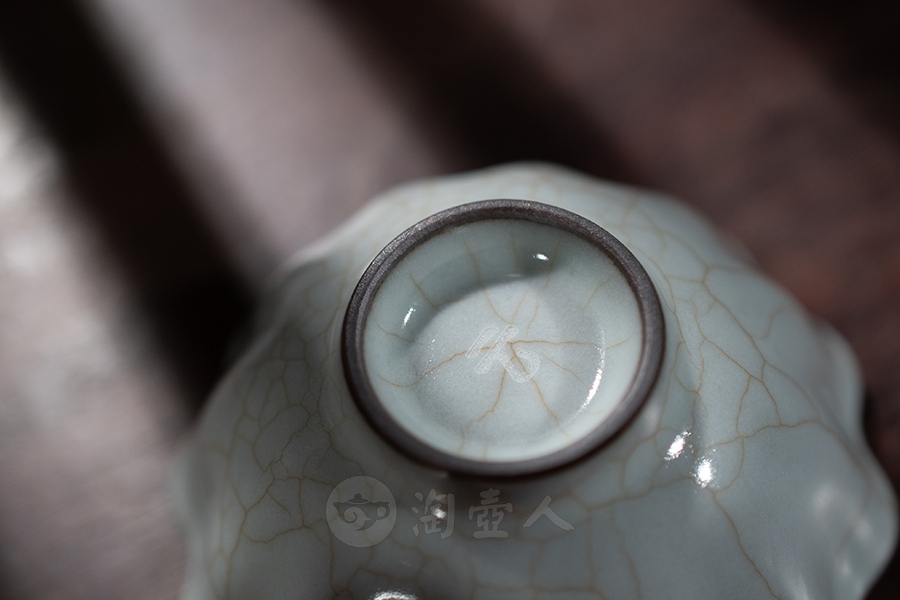 菊花杯