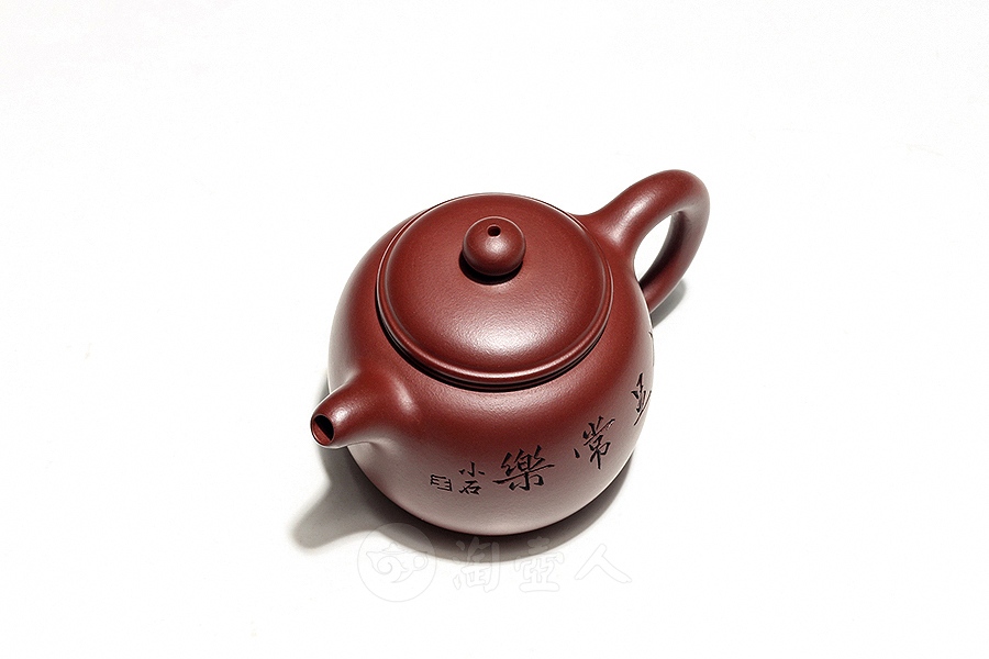 匏尊