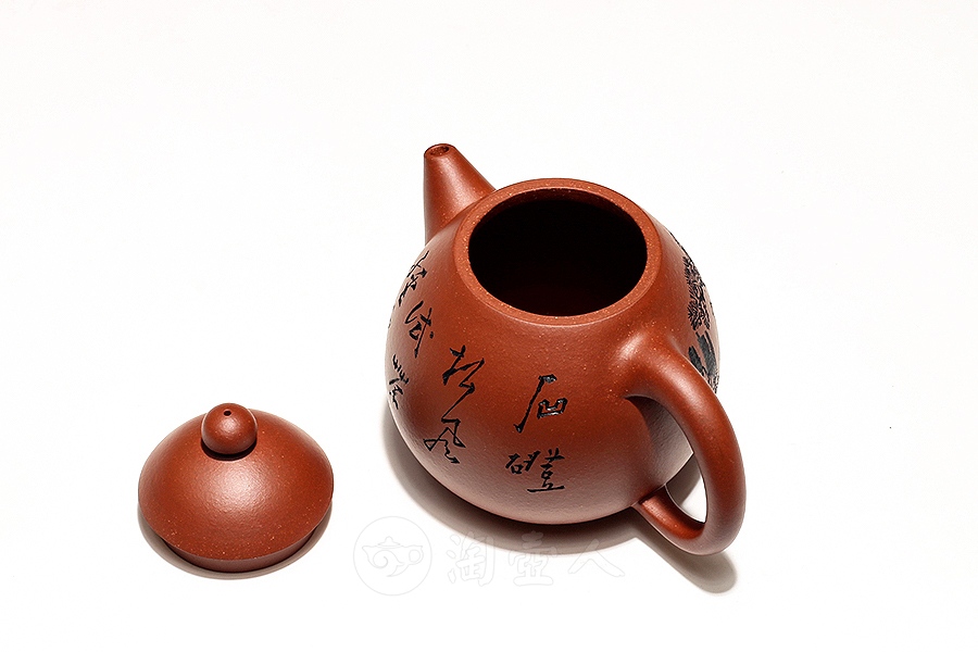 龙胆(范建军铭)