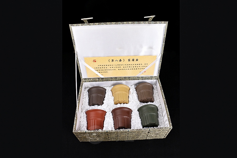 竹节菖蒲盆(施小马监制·限量款)