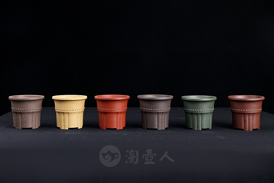 竹节菖蒲盆(施小马监制·限量款)