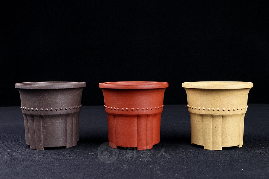 竹节菖蒲盆(施小马监制·限量款)