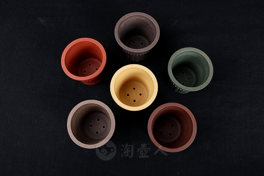 竹节菖蒲盆(施小马监制·限量款)