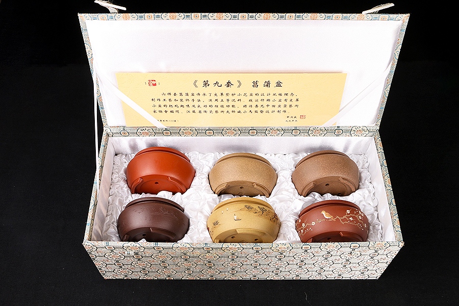 泥绘菖蒲盆(施小马监制·限量款)