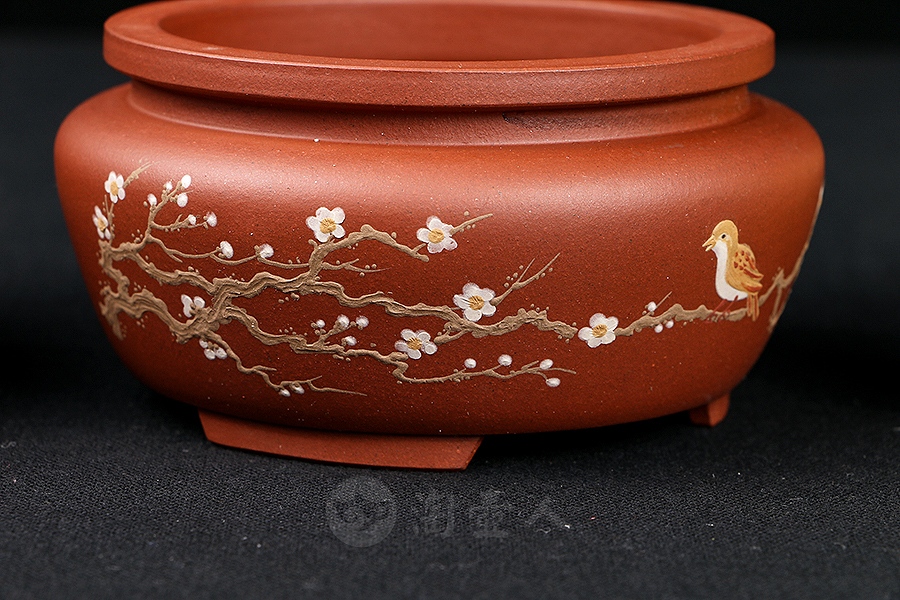 泥绘菖蒲盆(施小马监制·限量款)