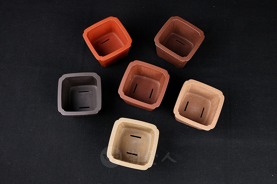 回纹四方菖蒲盆(施小马监制·限量款)