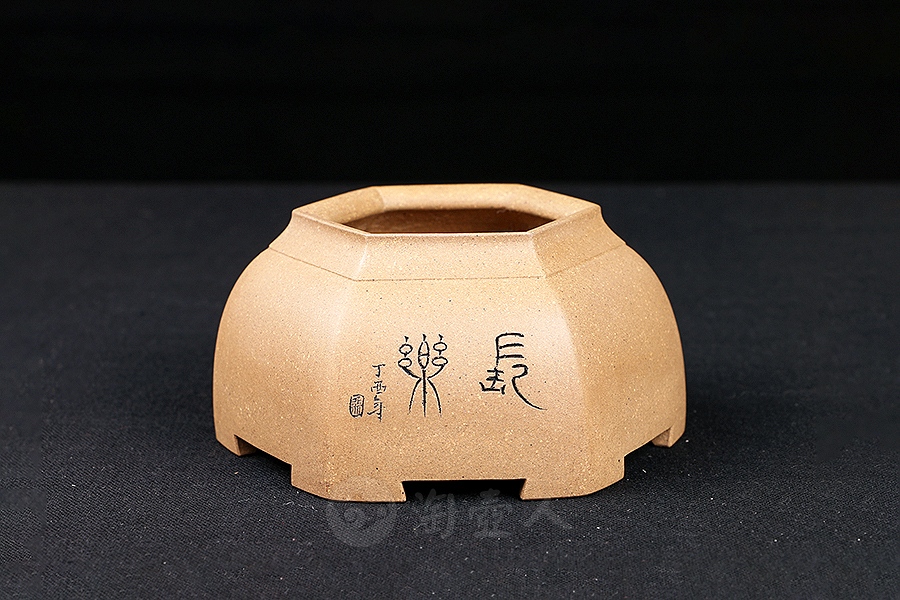 六方菖蒲盆(施小马监制·限量款)