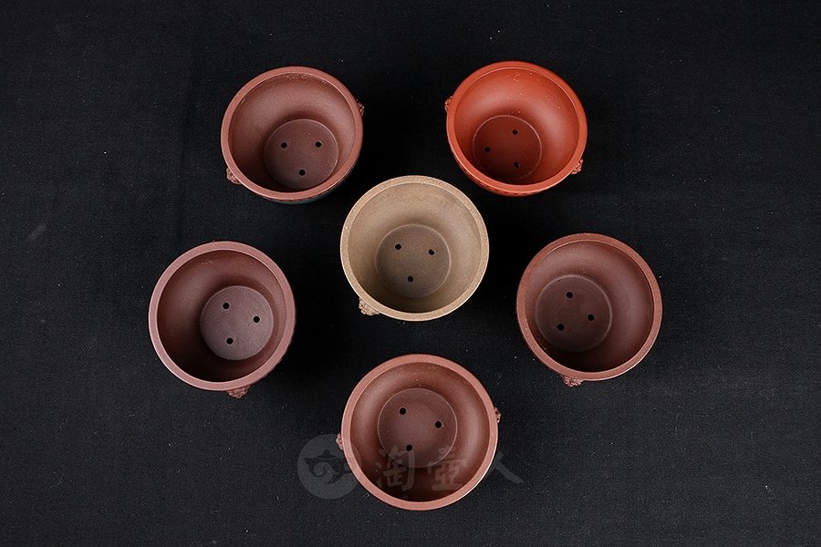 寿圆菖蒲盆(施小马监制·限量款)