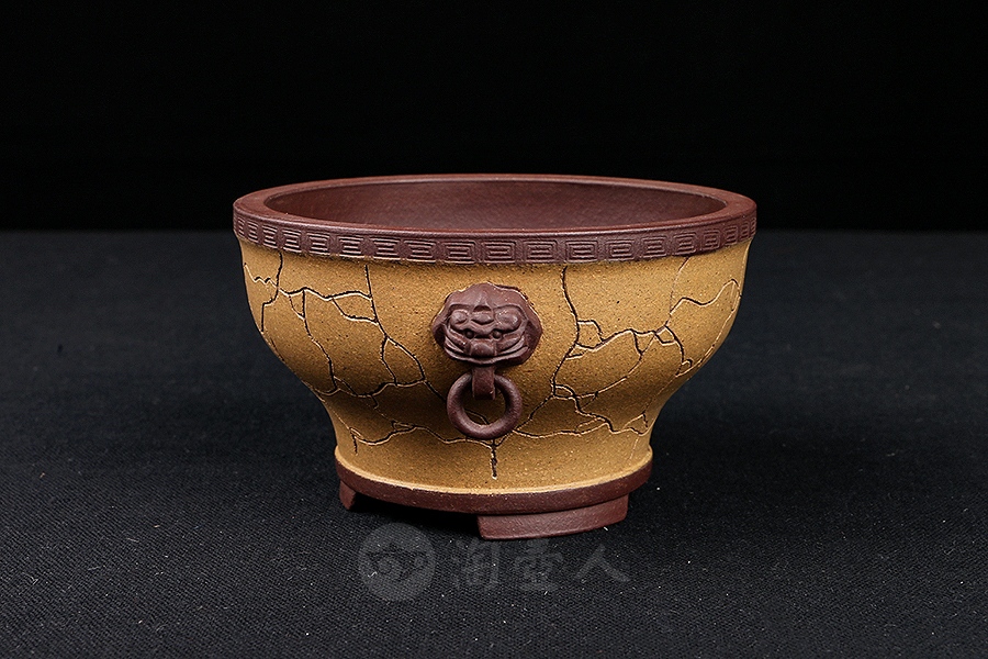 寿圆菖蒲盆(施小马监制·限量款)