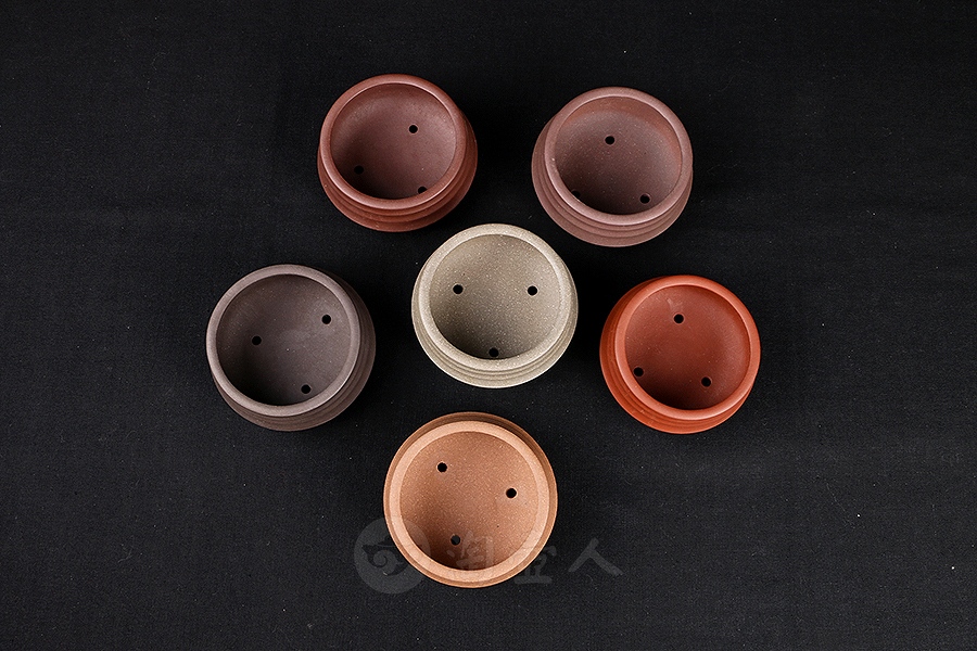 喜圆菖蒲盆(施小马监制·限量款)