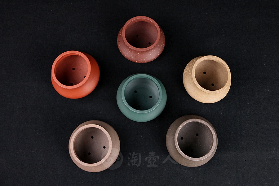 福圆菖蒲盆(施小马监制·限量款)