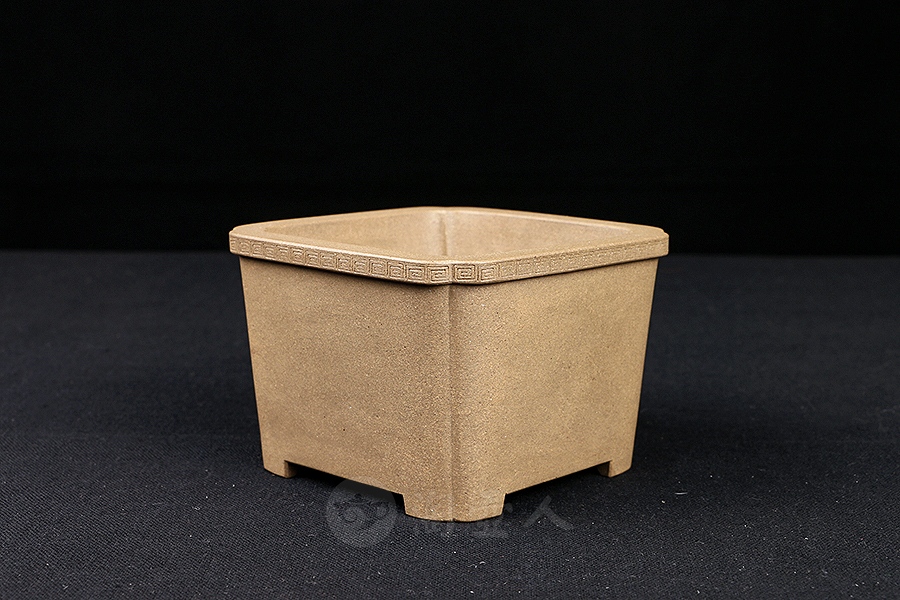 回纹四方菖蒲盆(施小马监制·限量款)